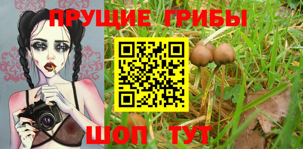 Галлюциногенные грибы Psilocybine cubensis  Вход с VPN  Псилоцибиновые грибы MAGIC MUSHROOMS  Нефтекамск 